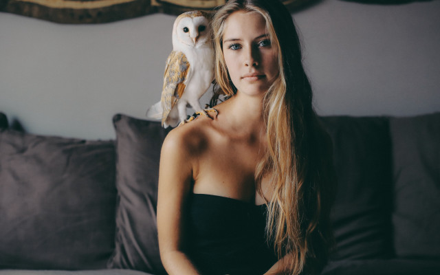 Woman owl couch serious blonde free wallpaper for desktop - medium preview image