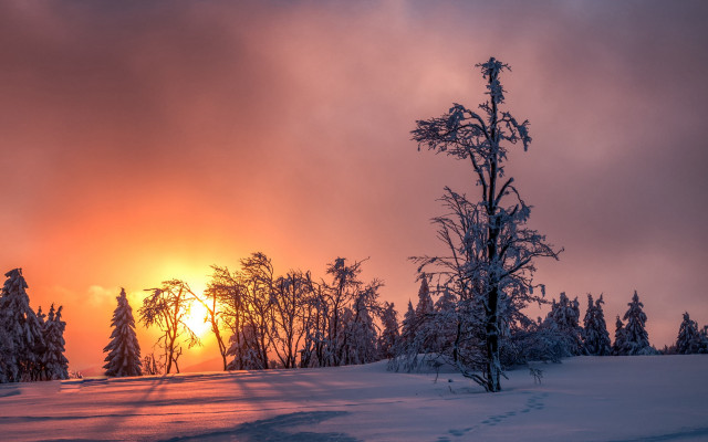 Sunset snowy field forests trail free wallpaper for desktop - medium preview image