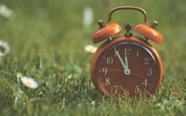 Orange alarmclock grass daisies nature free wallpaper for desktop - medium preview image