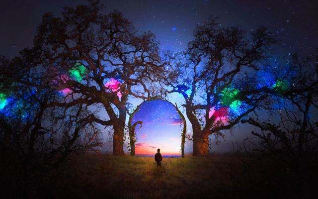 Magical realism field tree colorful free wallpaper for desktop - medium preview image