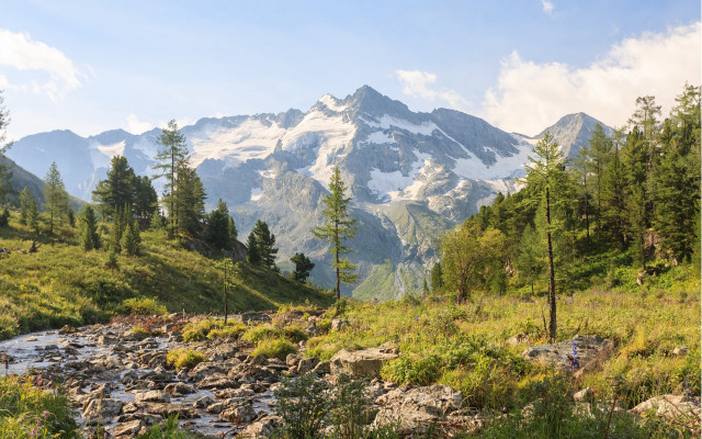 Mountain stream forest grass rocks free wallpaper for desktop - medium preview image