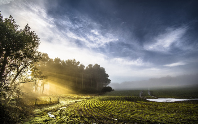Field tree river sunset nature free wallpaper for desktop - medium preview image