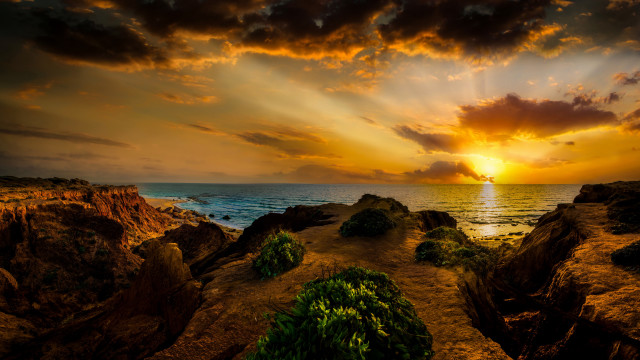 Sunset ocean path rocks plants free wallpaper for desktop - medium preview image