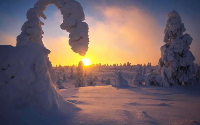 Sunset snowy trees dusk mountain free wallpaper for desktop - medium preview image