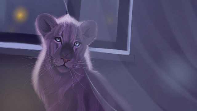 Purple tiger cub window night free wallpaper for desktop - medium preview image