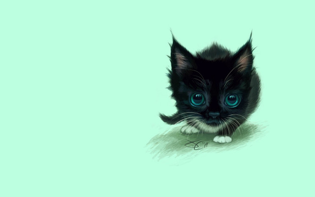 Black kitten blue eyes mustache free wallpaper for desktop - medium preview image