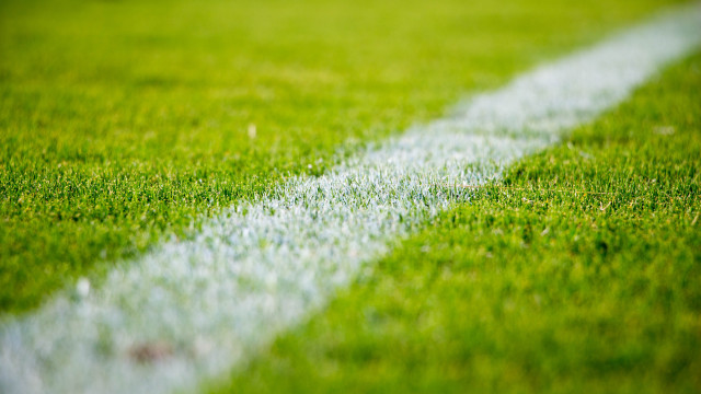 White line green grass field free wallpaper for desktop - medium preview image