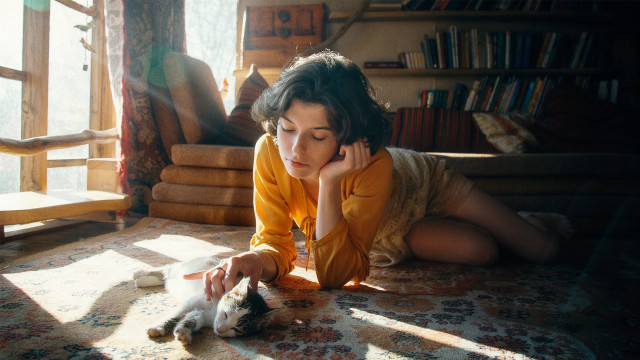 Woman cat lay floor bookcase free wallpaper for desktop - medium preview image