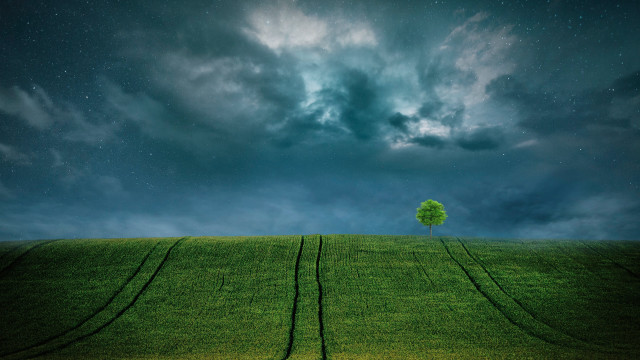 Lone tree cloudy sky stars free wallpaper for desktop - medium preview image