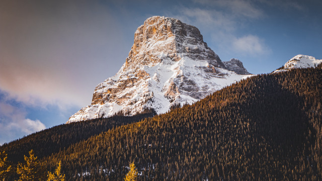 Mountain snow peak trees sunset free wallpaper for desktop - medium preview image