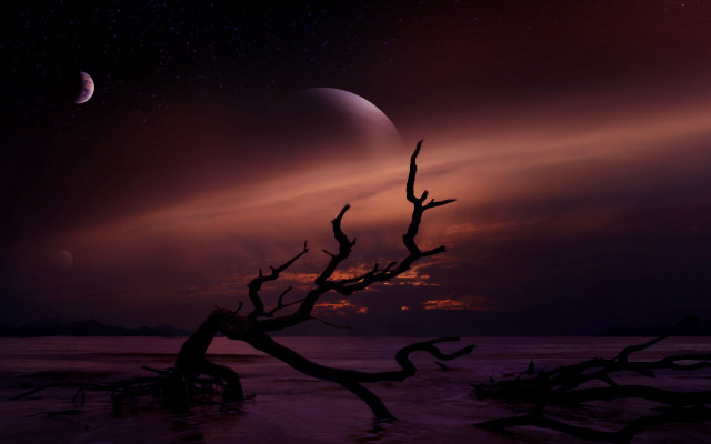 Moon water tree purple sky free wallpaper for desktop - medium preview image
