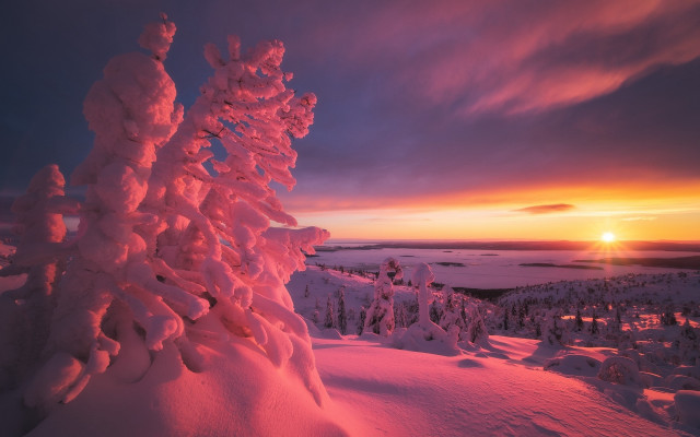 Sunset snowy mountain tree orange free wallpaper for desktop - medium preview image