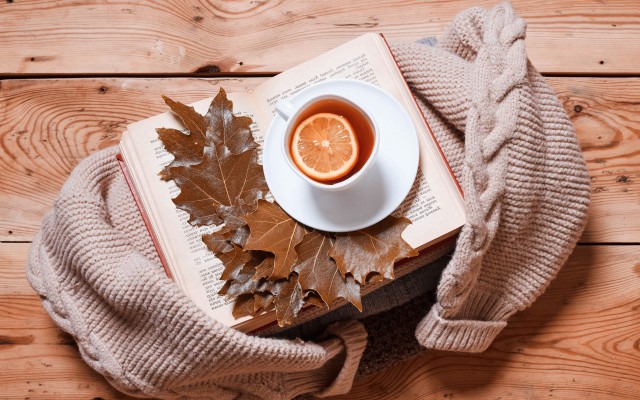 Tea book sweater leaves wooden free wallpaper for desktop - medium preview image