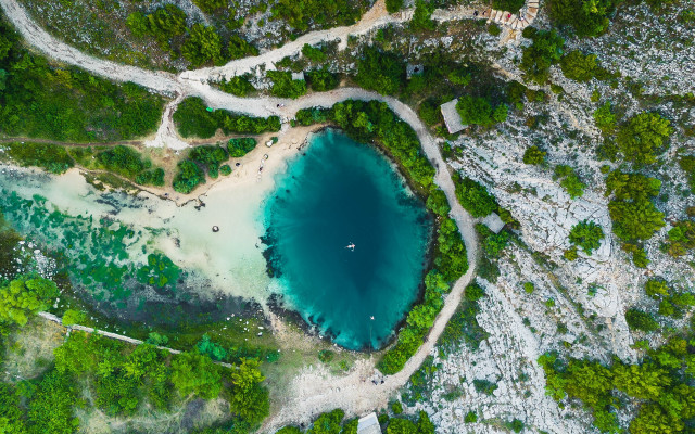 Bird eye blue lake trees free wallpaper for desktop - medium preview image
