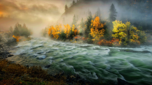River fog trees autumn campfire free wallpaper for desktop - medium preview image