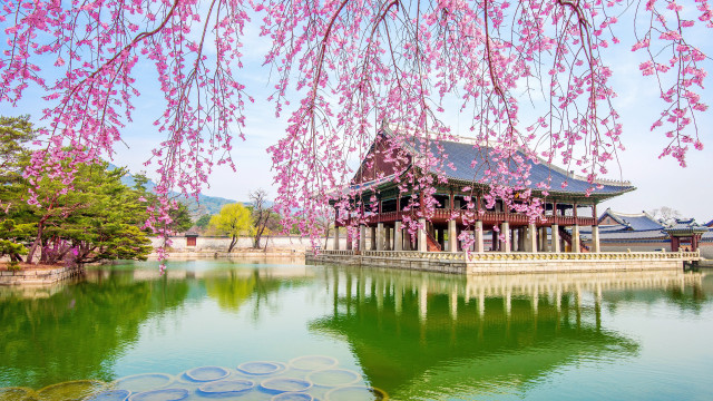 Pond pavilion cherry blossoms sky free wallpaper for desktop - medium preview image