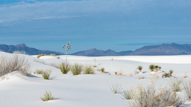 Desert mountains plants sky lake free wallpaper for desktop - medium preview image