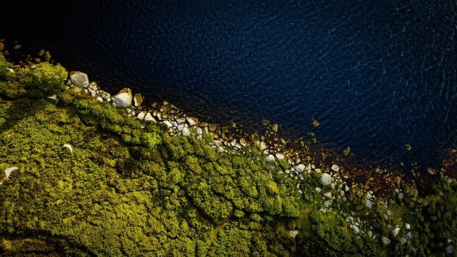 Birdseye water trees rocks grass free wallpaper for desktop - medium preview image
