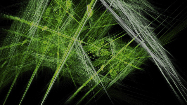 Bamboo forest nature night particles free wallpaper for desktop - medium preview image