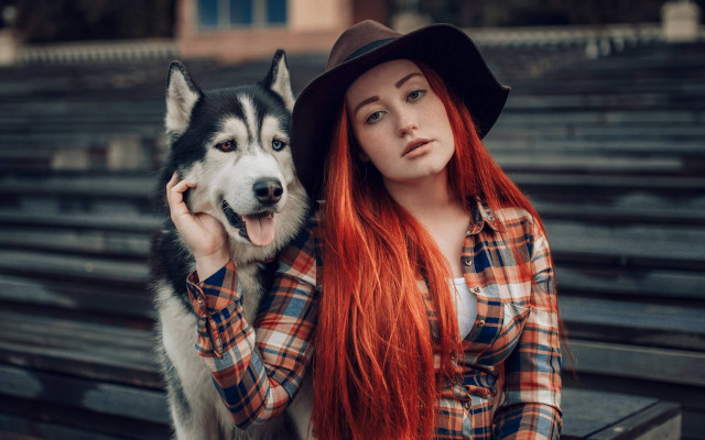 Red hair hat husky portrait free wallpaper for desktop - medium preview image