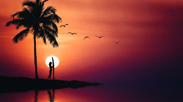 Island palm tree birds sunset free wallpaper for desktop - medium preview image