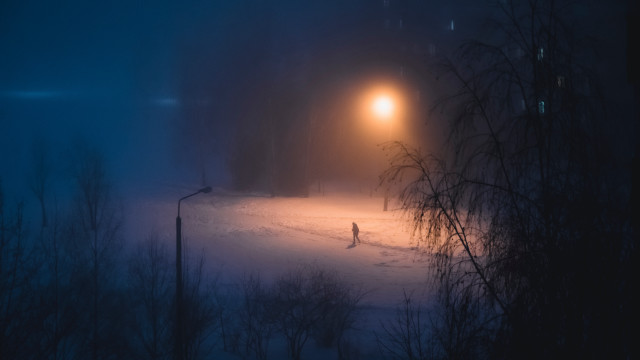 Snow night streetlight fog forest free wallpaper for desktop - medium preview image