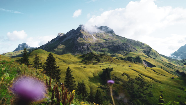 Mountain grassyfield trees clouds nature free wallpaper for desktop - medium preview image