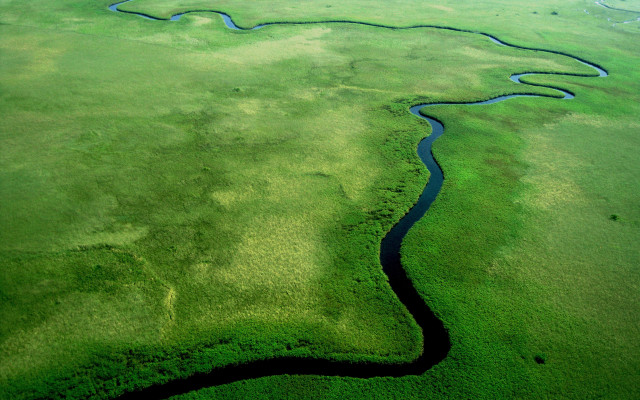 River green field forest nature free wallpaper for desktop - medium preview image
