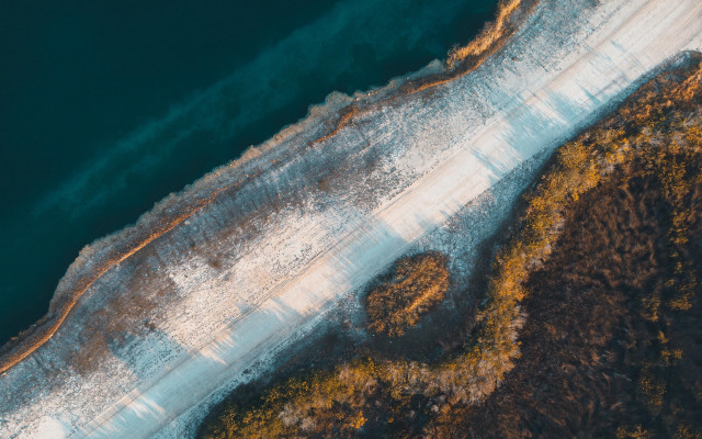 Aerial beach water shore trees free wallpaper for desktop - medium preview image
