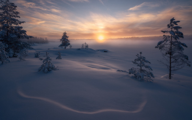 Snowy landscape trees sunset trail free wallpaper for desktop - medium preview image