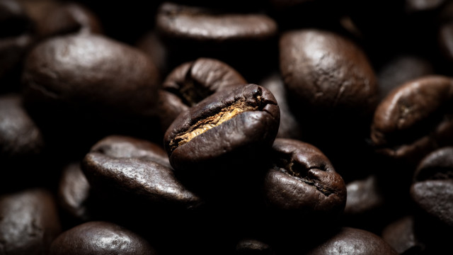 Coffee beans closeup blurry depthfield free wallpaper for desktop - medium preview image