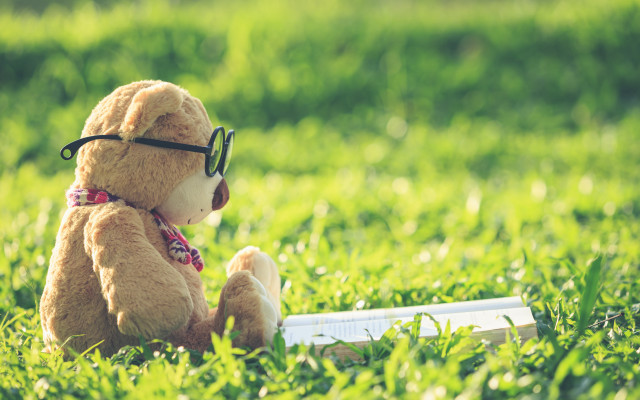 Teddy bear glasses reading in free wallpaper for desktop - medium preview image