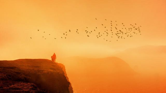 Cliff bird sunset dusk mountain free wallpaper for desktop - medium preview image