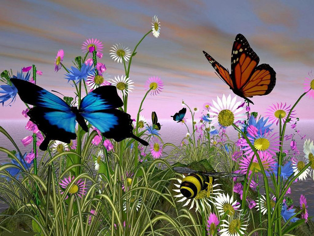 Field flowers butterflies sunset pink free wallpaper for desktop - medium preview image