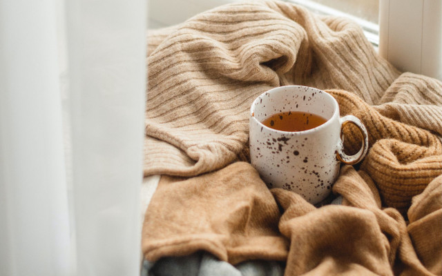 Cozy tea bed blanket window free wallpaper for desktop - medium preview image
