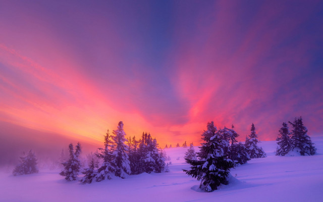 Sunset snowy mountain trees pink free wallpaper for desktop - medium preview image