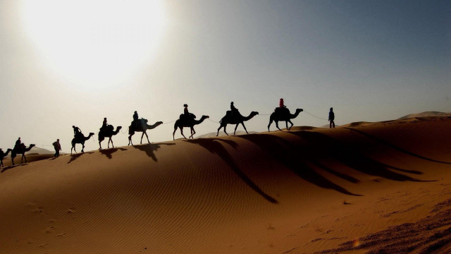 Camel riders desert group adventure free wallpaper for desktop - medium preview image