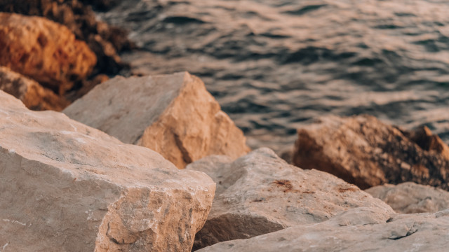 Bird rock ocean mountains shore free wallpaper for desktop - medium preview image