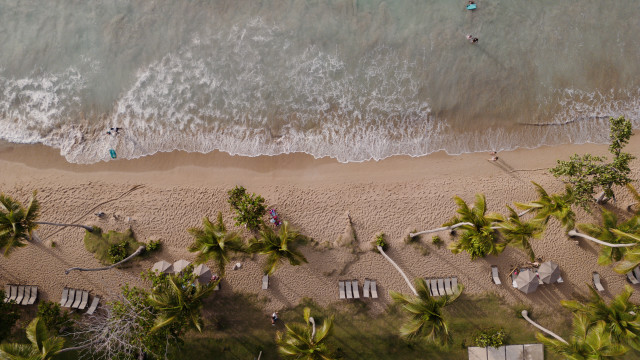 Beach people trees water tiltshift free wallpaper for desktop - medium preview image