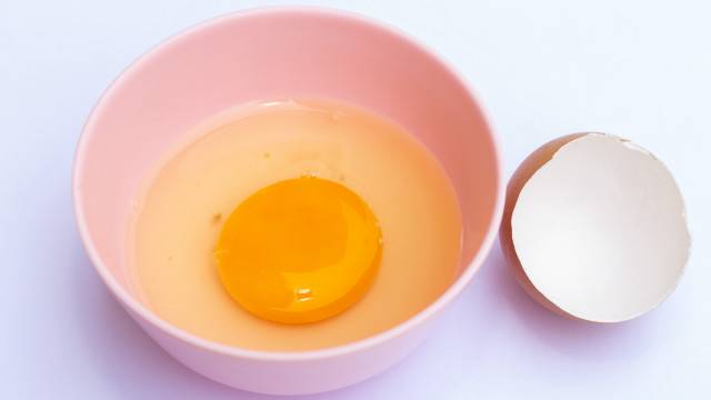 Egg pink bowl shell lightblue free wallpaper for desktop - medium preview image