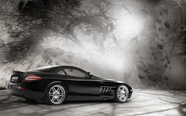 Black sports car dark forest free wallpaper for desktop - medium preview image