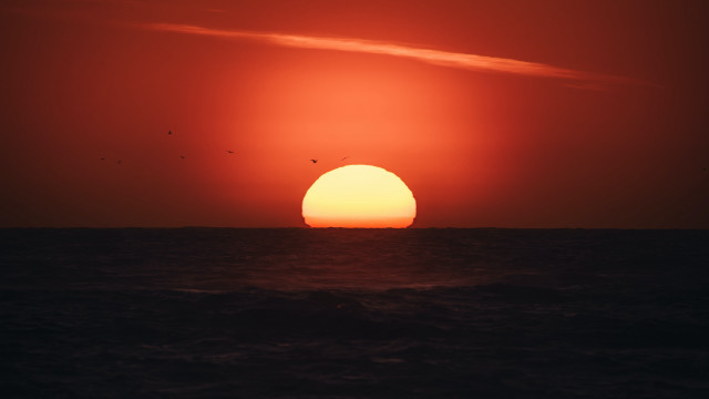 Sunset ocean boat birds matte free wallpaper for desktop - medium preview image