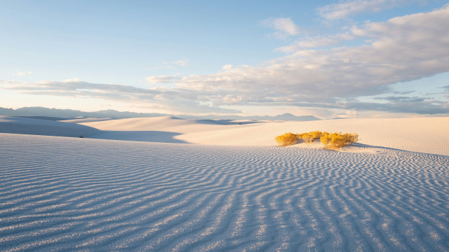 Desert trees clouds ocean sunset free wallpaper for desktop - medium preview image