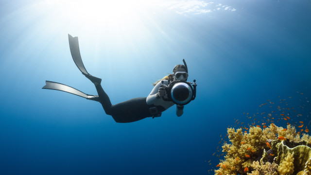 Diver fisheye underwater camera abstract free wallpaper for desktop - medium preview image