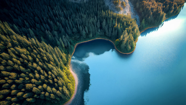 Lake forest trees sky water free wallpaper for desktop - medium preview image