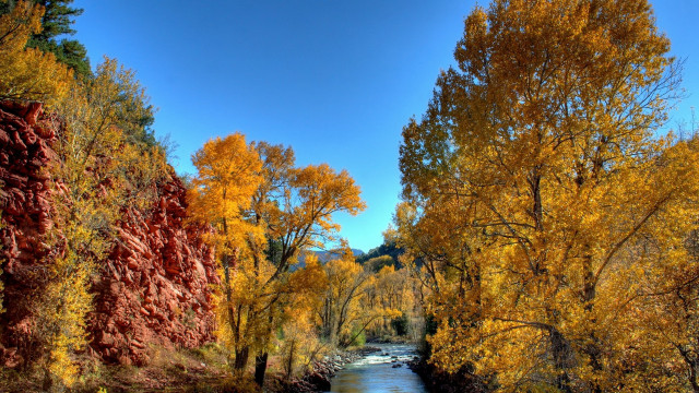 River trees yellow leaves blue free wallpaper for desktop - medium preview image