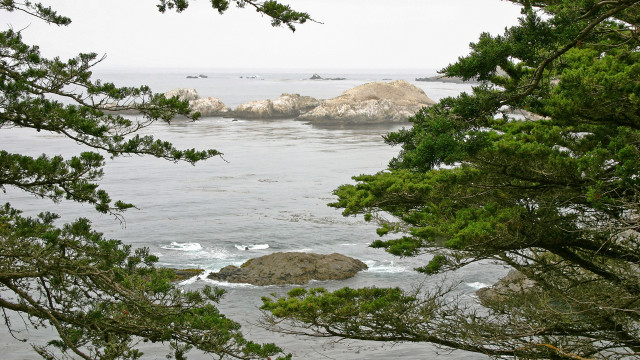 Lake view forest trees rocks free wallpaper for desktop - medium preview image