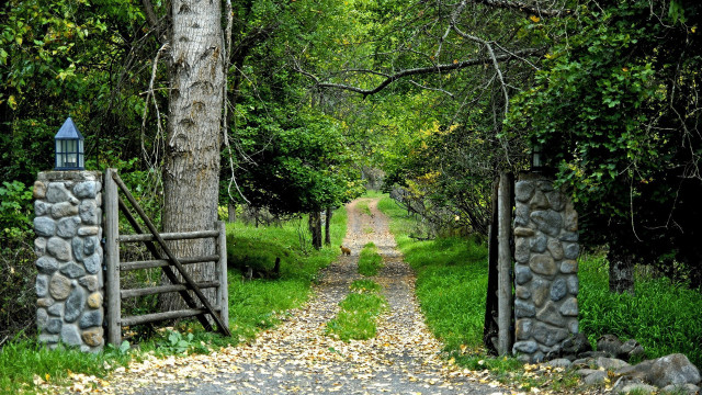 Stone gate forest path architecture free wallpaper for desktop - medium preview image