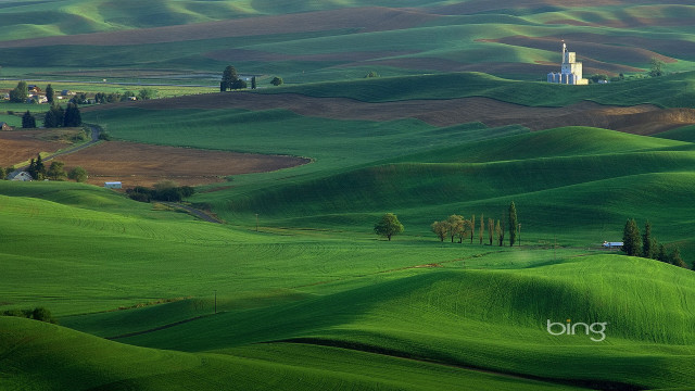 Green field church trees hill free wallpaper for desktop - medium preview image