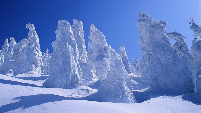 Snow mountain blue sky trees free wallpaper for desktop - medium preview image